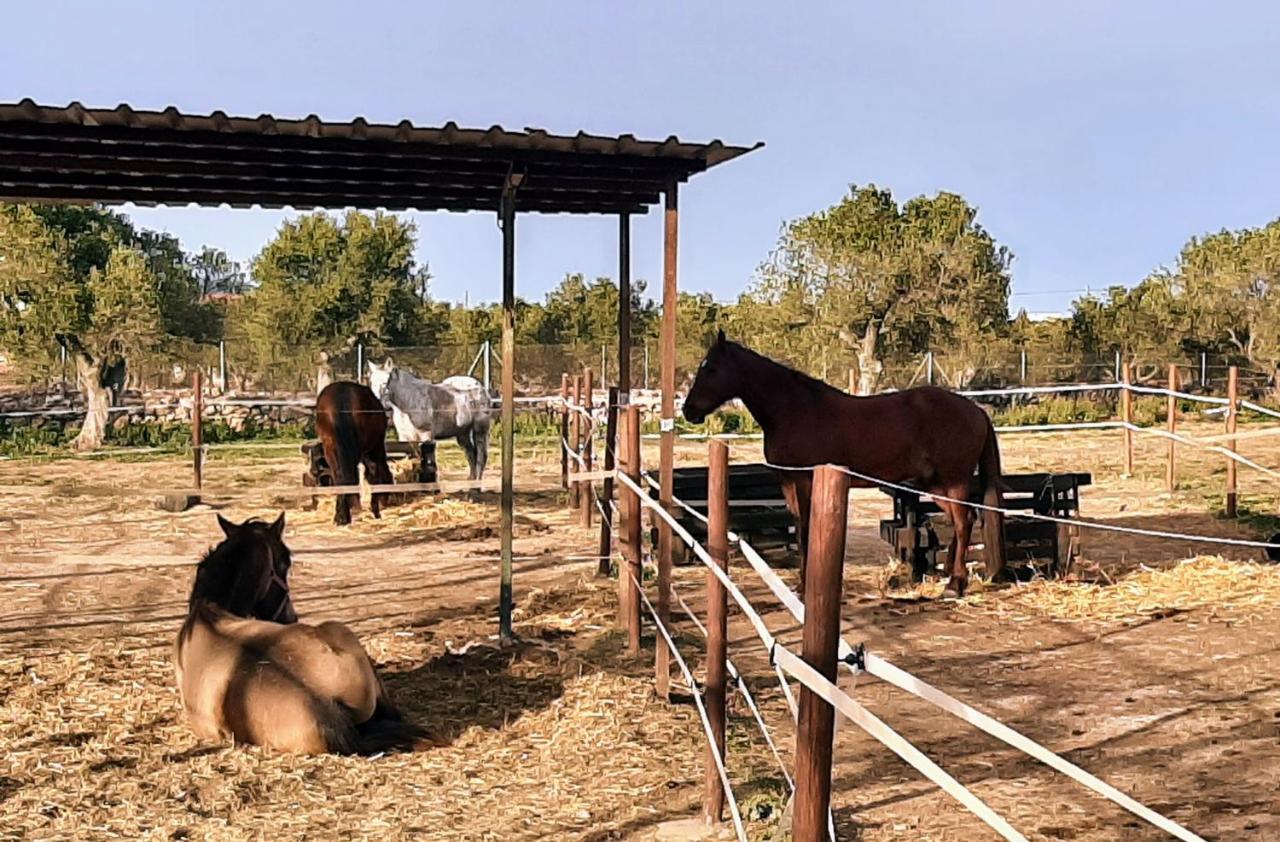 Chalet Vacacional Con Piscina Privada Y Barbacoa Tarragona Esterno foto